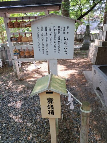 玉前神社_いちょう看板